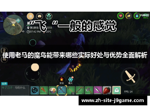 使用老马的魔鸟能带来哪些实际好处与优势全面解析