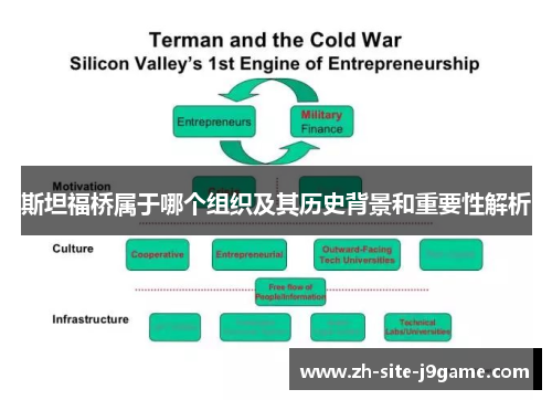 斯坦福桥属于哪个组织及其历史背景和重要性解析 斯坦福桥属于哪个组织及其历史背景和重要性解析