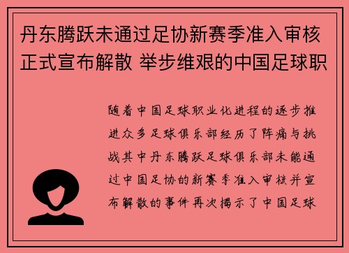 丹东腾跃未通过足协新赛季准入审核正式宣布解散 举步维艰的中国足球职业化困境再现